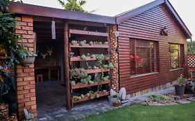 The Owl House